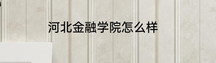 河北金融学院怎么样