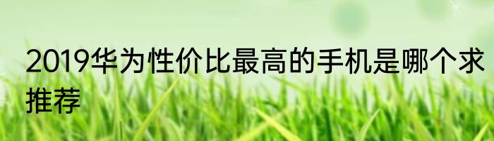 2019华为性价比最高的手机是哪个求推荐