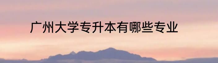 广州大学专升本有哪些专业