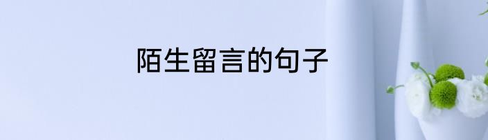 陌生留言的句子