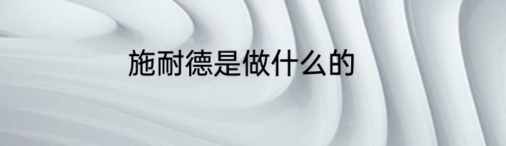 施耐德是做什么的