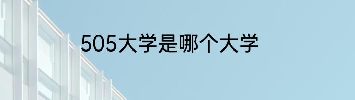 505大学是哪个大学
