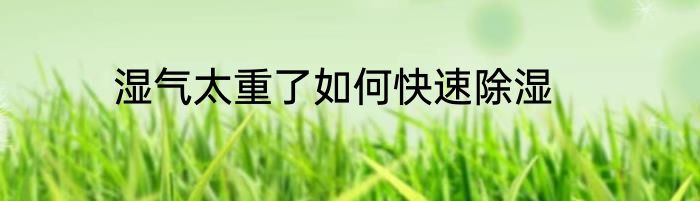 湿气太重了如何快速除湿
