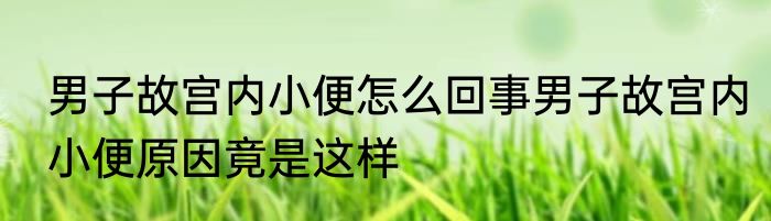男子故宫内小便怎么回事男子故宫内小便原因竟是这样