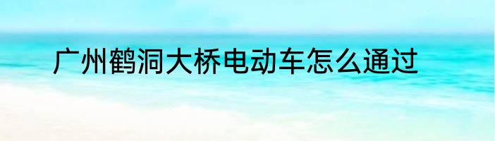 广州鹤洞大桥电动车怎么通过