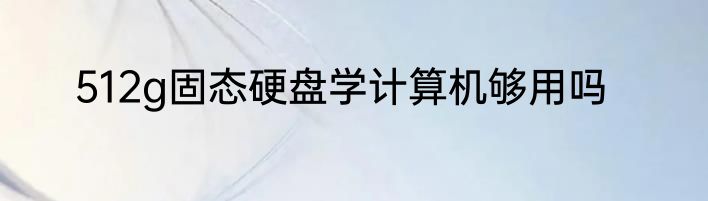 512g固态硬盘学计算机够用吗