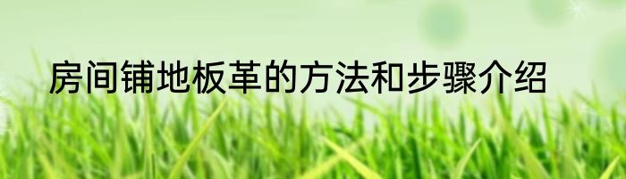 房间铺地板革的方法和步骤介绍