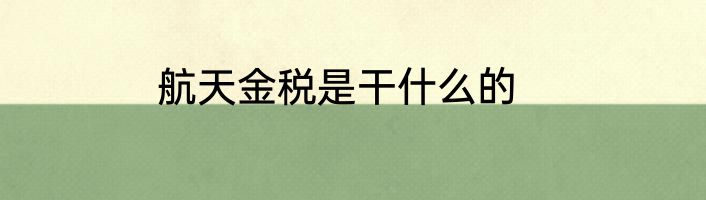 航天金税是干什么的