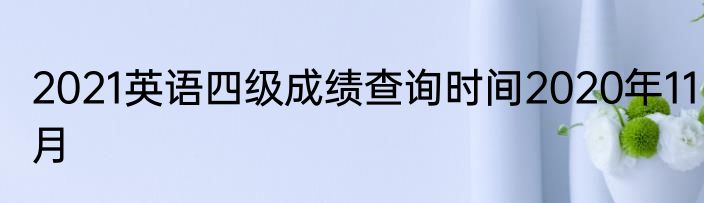 2021英语四级成绩查询时间2020年11月