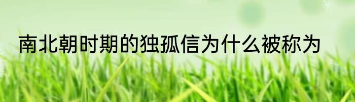南北朝时期的独孤信为什么被称为