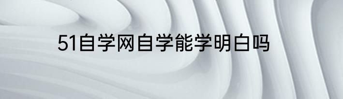 51自学网自学能学明白吗