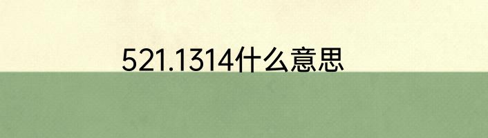 521.1314什么意思