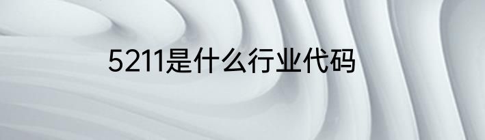 5211是什么行业代码