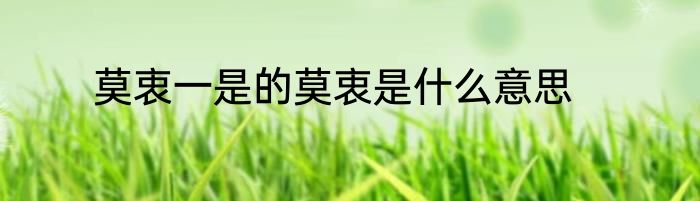 莫衷一是的莫衷是什么意思