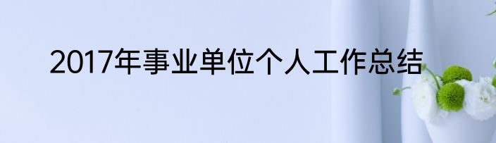 2017年事业单位个人工作总结