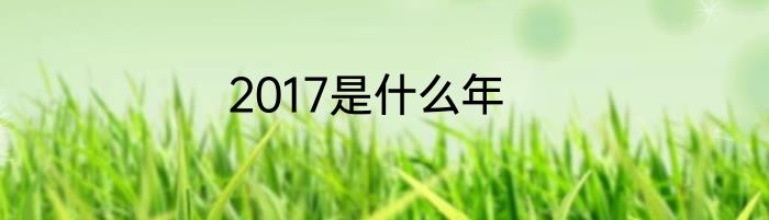 2017是什么年