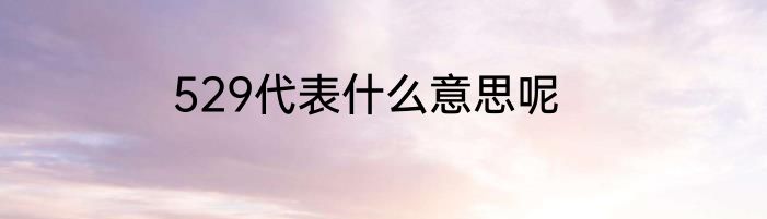 529代表什么意思呢