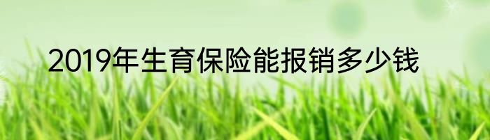 2019年生育保险能报销多少钱