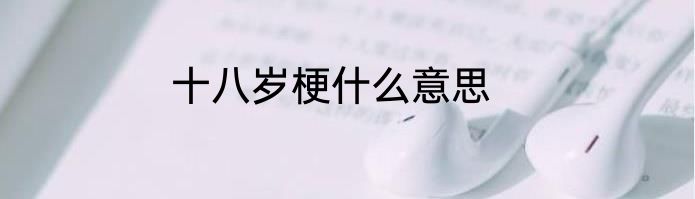 十八岁梗什么意思
