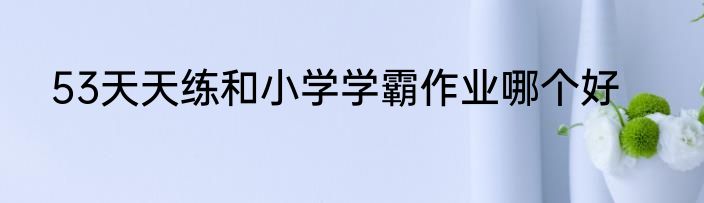 53天天练和小学学霸作业哪个好