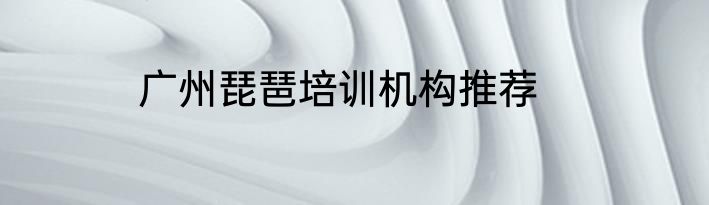 广州琵琶培训机构推荐