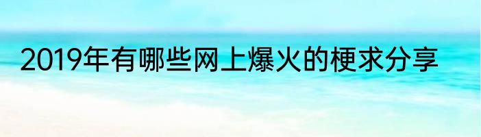 2019年有哪些网上爆火的梗求分享