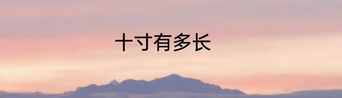 十寸有多长