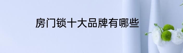 房门锁十大品牌有哪些