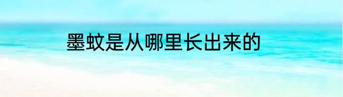 墨蚊是从哪里长出来的