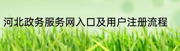 河北政务服务网入口及用户注册流程