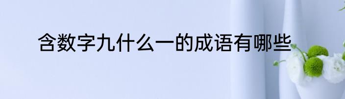 含数字九什么一的成语有哪些