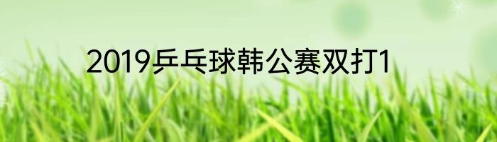 2019乒乓球韩公赛双打1