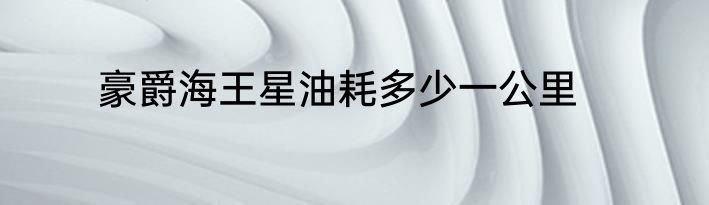 豪爵海王星油耗多少一公里