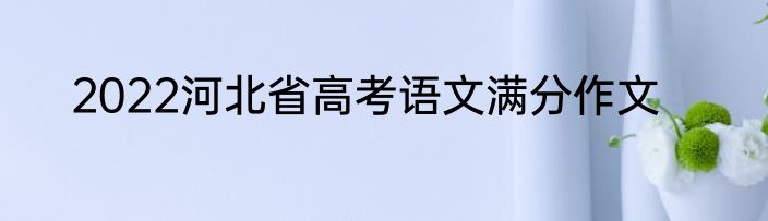 2022河北省高考语文满分作文