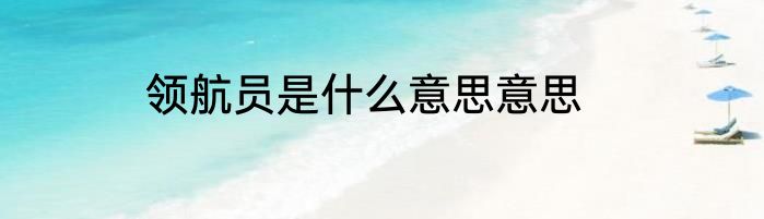 领航员是什么意思意思