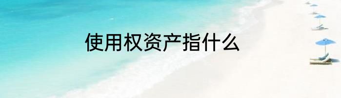 使用权资产指什么