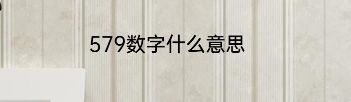 579数字什么意思