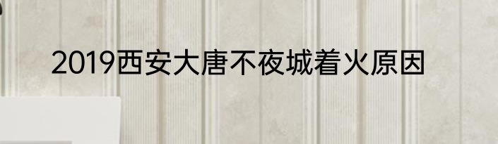 2019西安大唐不夜城着火原因