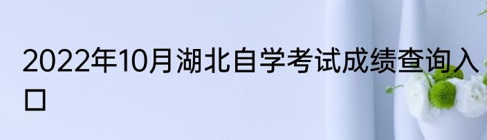 2022年10月湖北自学考试成绩查询入口