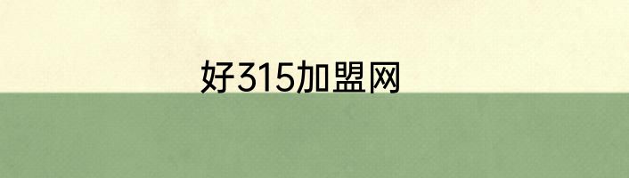 好315加盟网