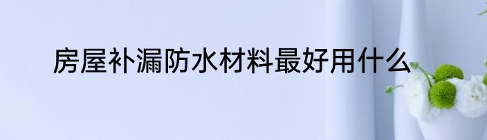 房屋补漏防水材料最好用什么