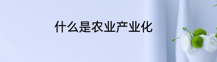 什么是农业产业化