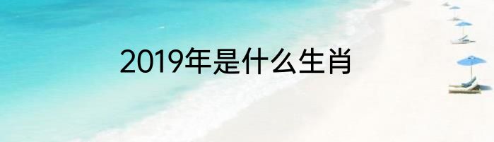 2019年是什么生肖
