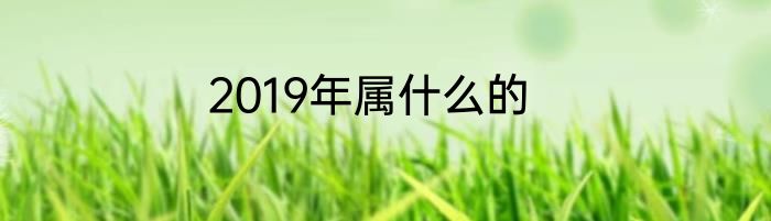 2019年属什么的