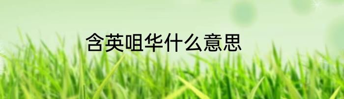 含英咀华什么意思