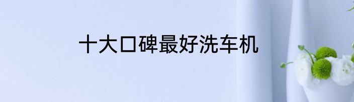 十大口碑最好洗车机