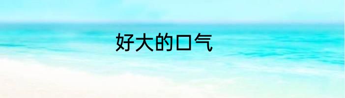 好大的口气