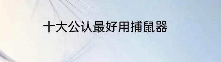 十大公认最好用捕鼠器