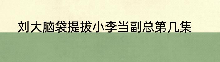 刘大脑袋提拔小李当副总第几集