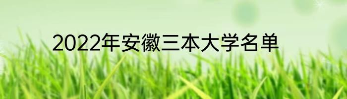 2022年安徽三本大学名单